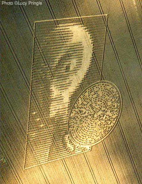 Alien Face With Binary Code The Crabwood Crop Circle
