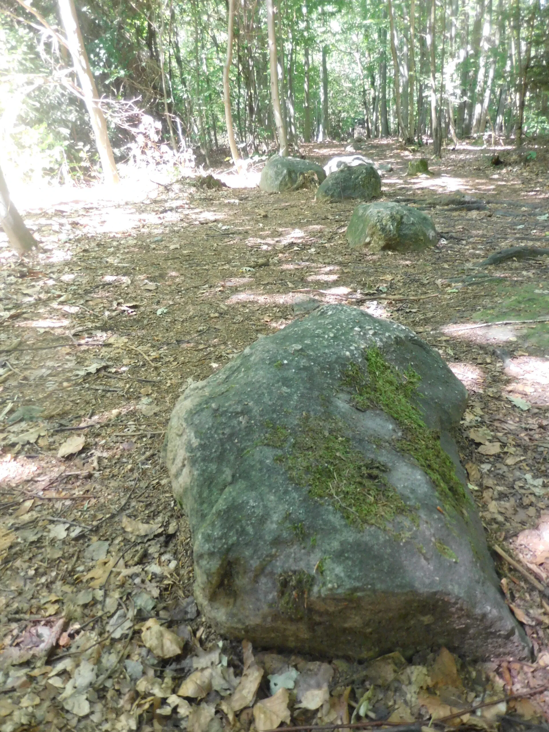 Megalithic Stone Lines Of Kounov