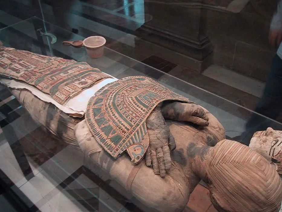 Square Faced Mummy With Name Pachery Or Nenu Of Egypt
