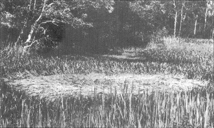 The 1966 Tully UFO And Crop Circle Case