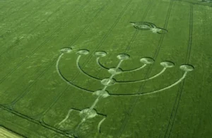 The Menora Crop Circle From Barbury Castle In A Canola Field