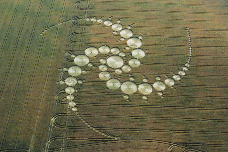 The Triple Julia Set Crop Circle Appeared 2 Nights After Intensely Bright Objects Have Been Sighted